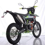 X PRO Paladin 300 Dirt Bike