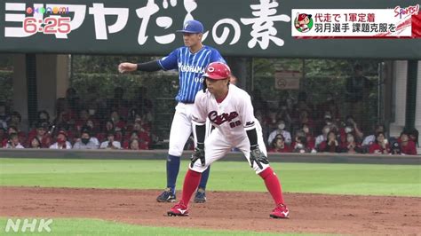 カープ羽月隆太郎選手 足のスペシャリストからレギュラーへ Nhk