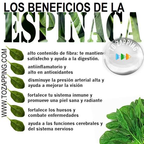 Los Beneficios De La Espinaca