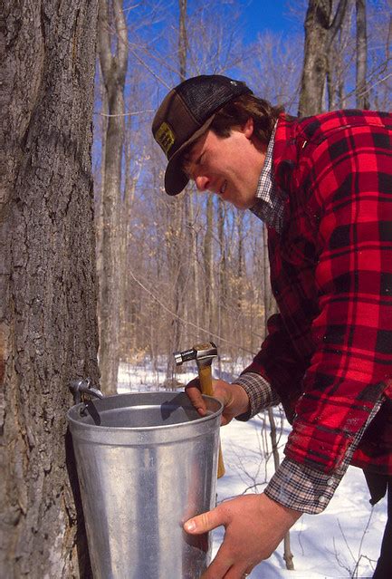 Maple Sirup John Bartosik Flickr