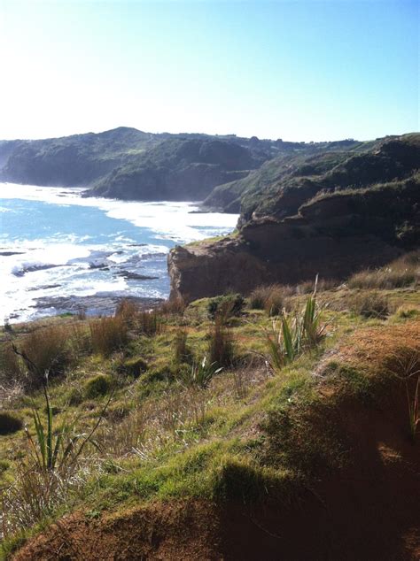 3 of Our Favorite Hiking Trails, Auckland Region - A Girl and a Kiwi