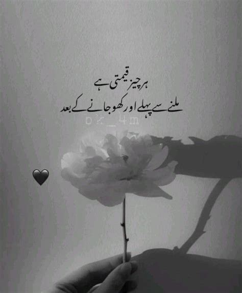 Pin By Ali Hassan On Idea Pins By You In Urdu Quotes With Images