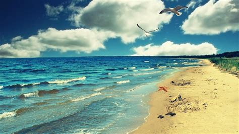 🔥 [42+] Beach HD Wallpapers 1080p | WallpaperSafari