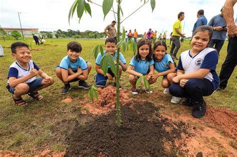 Prefeitura de Belém divulga mapeamento de áreas verdes do município