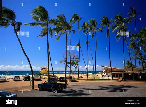 Baldwin Beach Park with palm trees, a golden sandy beach and a surf rescue tower, Paia, Maui ...