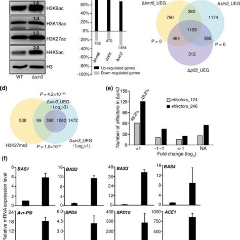 Sin3 HDAC Coordinates With PRC2 To Prompt H3K27me3 Mediated