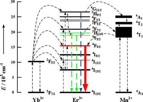 Energy Level Diagrams Of The Er Yb And Mn Dopant Ions And