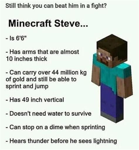 Minecraft Steve Meme