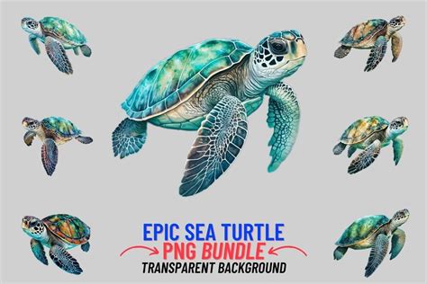 Sea Turtle 12 Png Clipart Bundle Graphic By Digitalcreativeden · Creative Fabrica