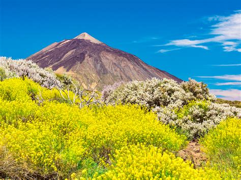 Langzeiturlaub Teneriffa Hotel Parque San Antonio Urlaub günstig