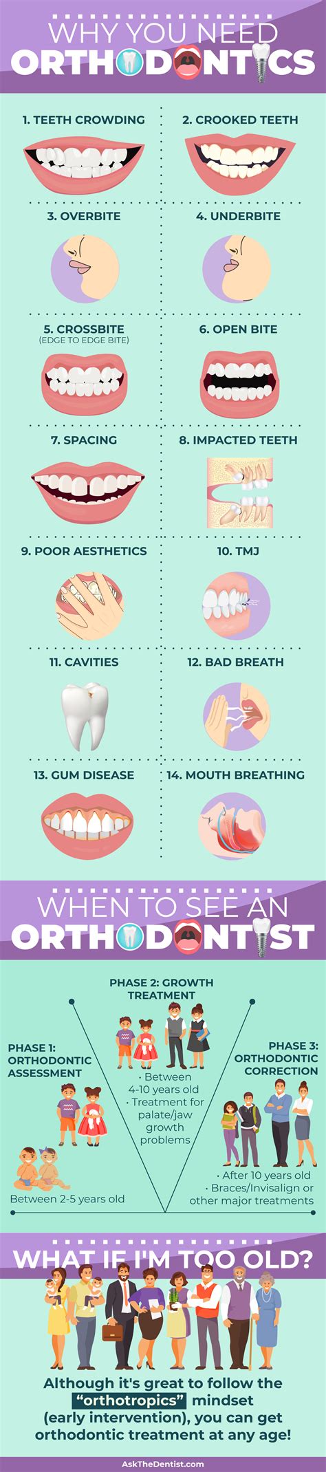 What Are The Stages Of Orthodontic Treatment At Debra Herbert Blog