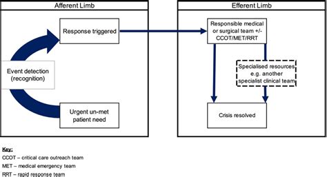 Conceptual Model Of The Rapid Response System Rrs Adapted From