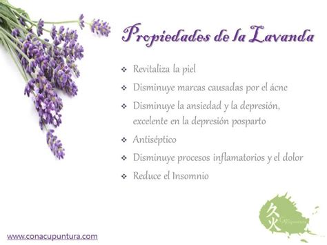 Propiedades De La Lavanda Lavanda Propiedades Jab N De Lavanda