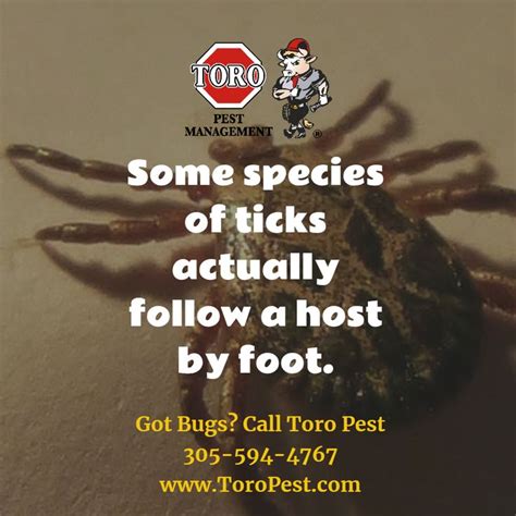 Pin On Toro Pest Management