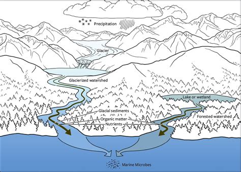 Glacier Movement Diagram