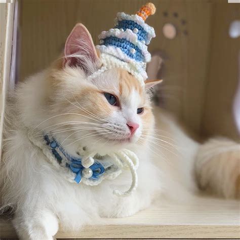 Cat Birthday Cake Hats | Cute Best Birthday Cake Hats