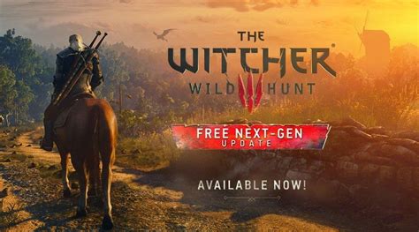 The Witcher Stato Fixato Su Pc Gamesurf