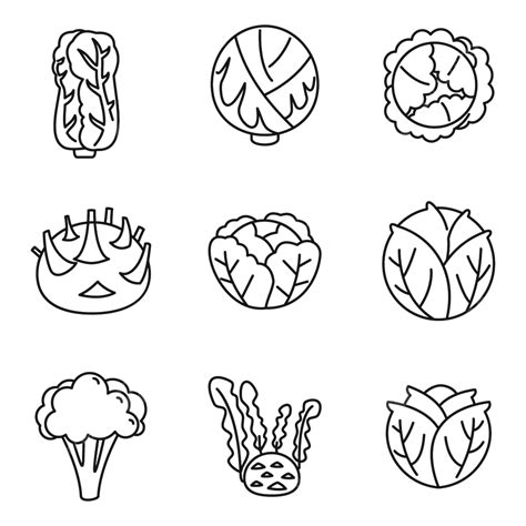 Cute Cabbage Coloring Pages Outline Sketch Drawing Vector