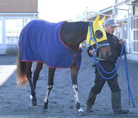 【pog】ジュエルシティー 厩舎ゆかりの良血馬 松永昌師「ゲート練習も速かった」 競馬ニュース Netkeiba