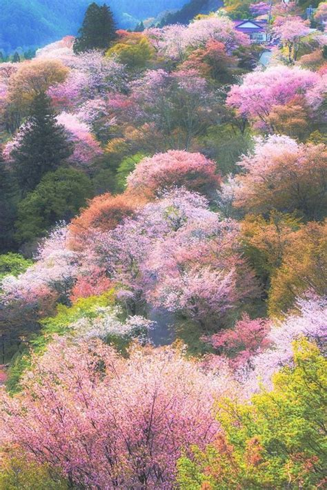 landscape nature photography nature aesthetic beautiful nature