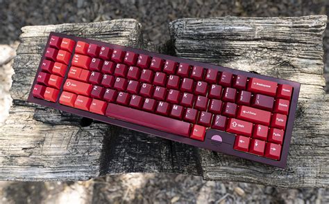 sunsetter   charue design xinxinwong