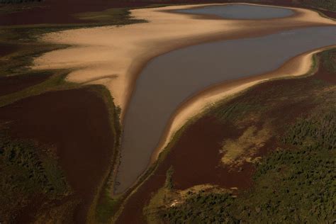 Río Paraná “no Es Una Bajante No Es Una Sequía Es La Deforestación