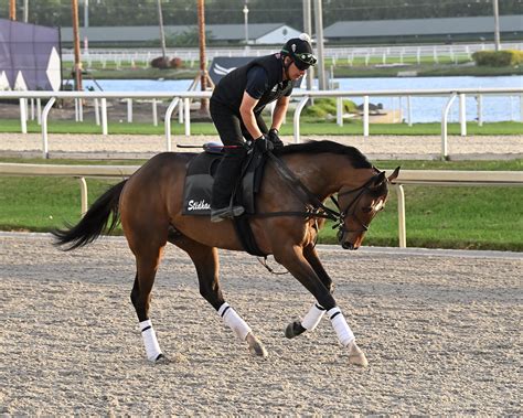 Proxy Files Solve How To Edit Large Video Files Forever Now.