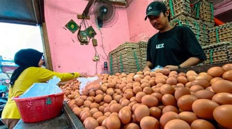 Tukar Rokok Dengan Telur Solusi Gizi Keluarga Dan Cegah Stunting