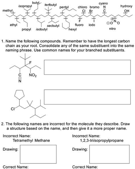 Solved Butyl Isopropyl Cyano Chloro Bromo Terbutyl Pentyl Hydroxy Oh