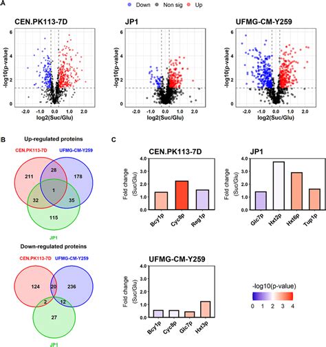 Comparative Protein Abundance Between Sucrose And Glucose Growth