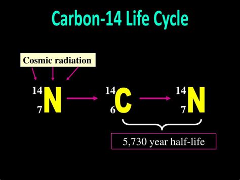 Ppt Radiocarbon Dating Powerpoint Presentation Free Download Id