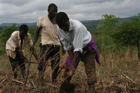 Challenges stand in way of African agricultural transformation