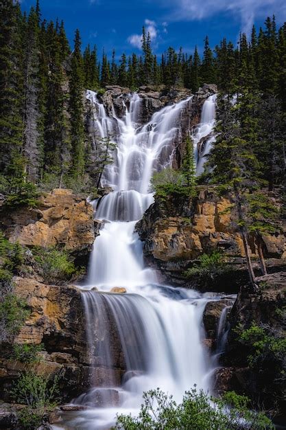 Una Cascada En El Bosque Con Un Bosque Al Fondo Foto Premium