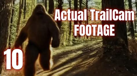 INSANE Trail Cam Footage Just Discovered Caught On Trail Cam Trail