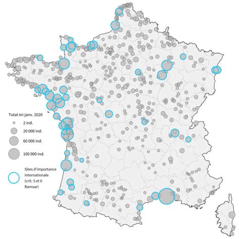 Synth Se Wetlands R Sultats Du Comptage Annuel Des Oiseaux Deau