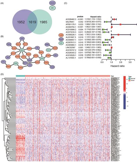 Identification Of The Mrilncrnas A 1985 M6a Methylation‐related