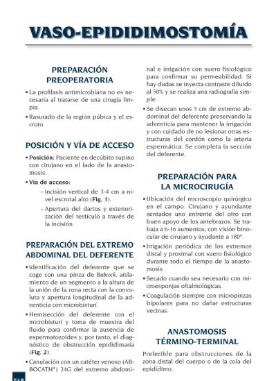 VASO EPIDIDIMOSTOMÍA PREPARACIÓN PREOPERATORIA POSICIÓN Y VÍA DE ACCESO