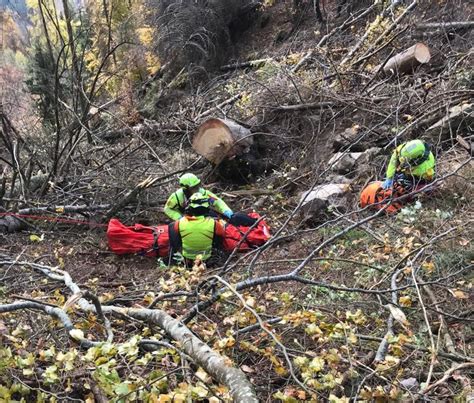 Grave Infortunio Per Un Boscaiolo UnserTirol24