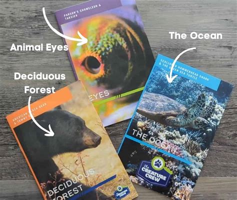 The Creature Crew Science Kits: Animal Eyes - The Homeschool Scientist