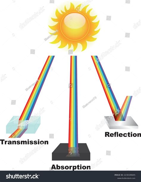 Properties Light Anatomy Reflection Absorption Transmission Stock