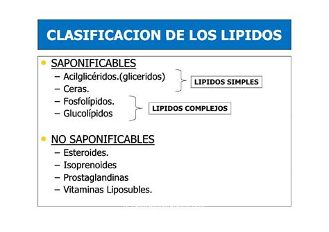 Clasificacion De Los Lipidos Lipidos Lipidos Con Acidos Grasos Simples Images