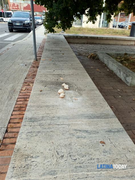 Degrado Nel Piazzale Davanti La Stazione Di Latina Scalo