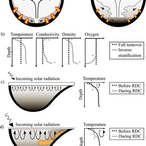 Linked Hydrodynamics And Biogeochemistry Under Ice Colors Represent A