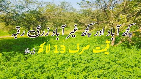 35 Acer Agriculture Land For Sale In Punjab Pakistan Cheap