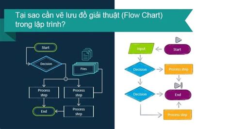 Khóa Học Tester Hàng Đầu Tại Trung Tâm Testerprovn