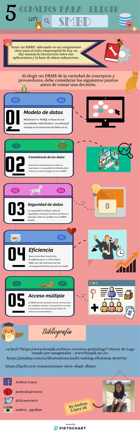 Infograf A Modelo De Datos Toma De Decisiones Consejos