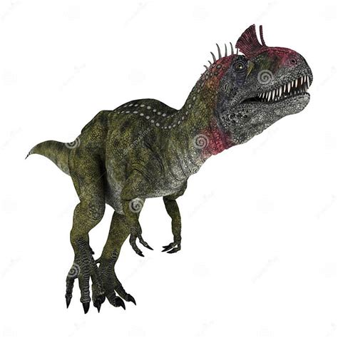 Dinosaur Cryolophosaurus Stock Illustration Illustration Of Isolated