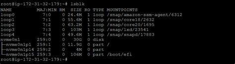 Resizing The Root Partition On AWS Linux Instance A Step By Step Guide