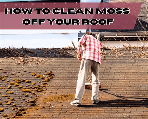 How To Clean Moss Off Roof The Right Way