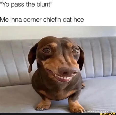 Yo Pass The Blunt Me Inna Corner Chiefin Dat Hoe I IFunny